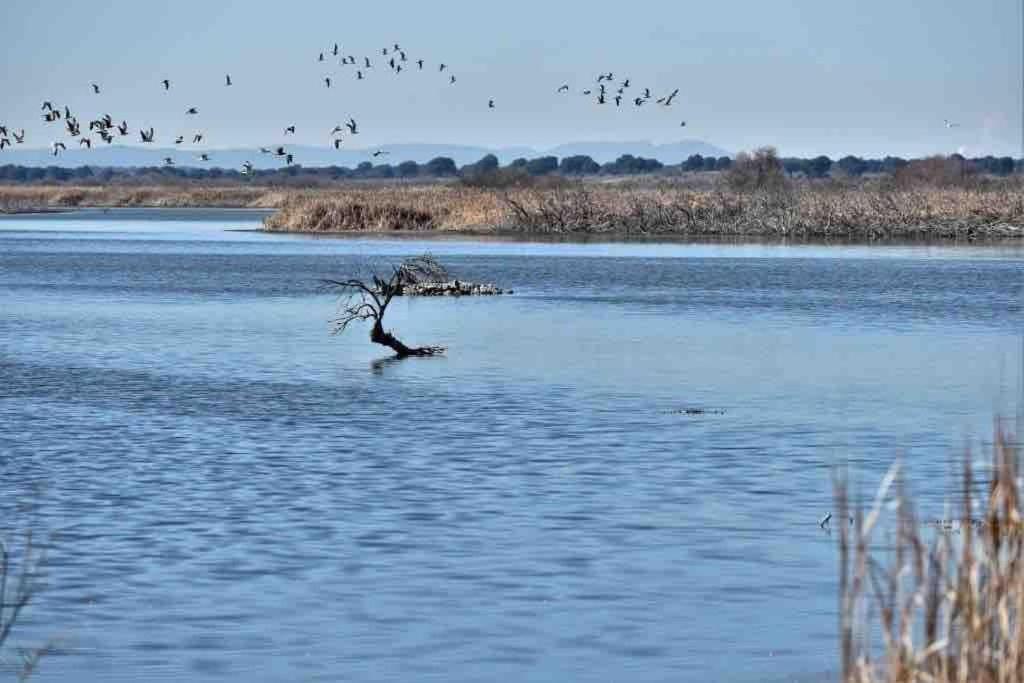 Apto. Singular En La Mancha Banco De Inversiones Argamasilla de Alba Exteriör bild